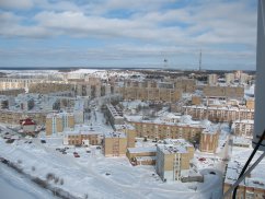 Веб-студия СайтФирмы - создание сайтов в Ухте от 9900р