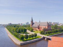 Веб-студия СайтФирмы - создание сайтов в Калининграде от 9900р