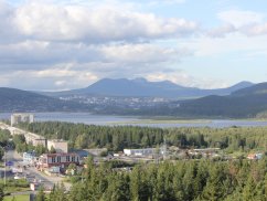 Веб-студия СайтФирмы - создание сайтов в Златоусте от 9900р